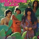 shocking blue